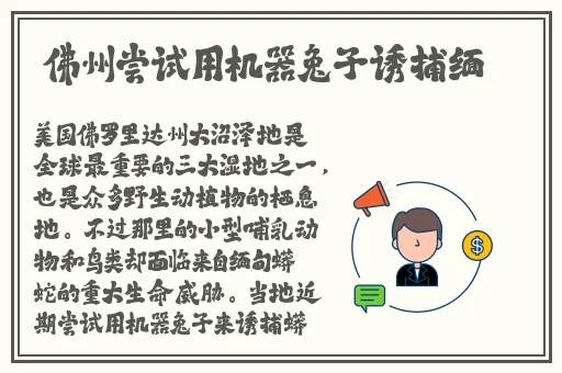 洞洞饿了想吃火腿肠